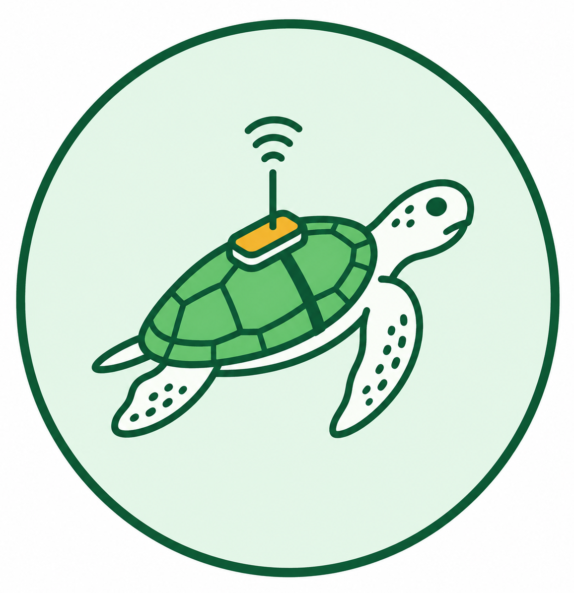 Turtle Tags